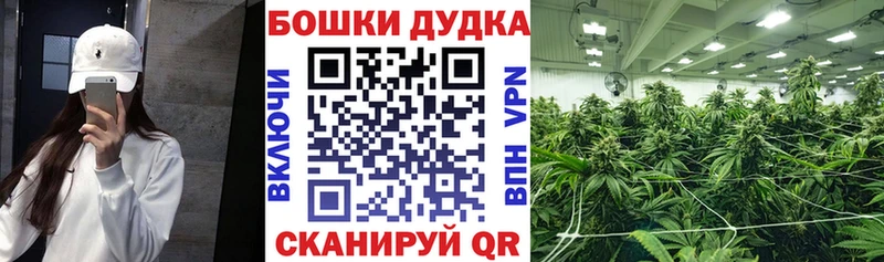 Какие есть наркотики Лабытнанги Канабис  Alpha-PVP  КОКАИН  ГАШ  Мефедрон 