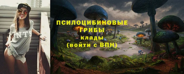 индика Покров