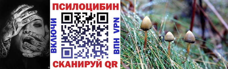 Псилоцибиновые грибы Psilocybine cubensis  закладки  blacksprut ONION  Лабытнанги 
