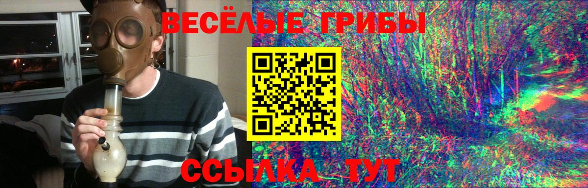 Галлюциногенные грибы мухоморы Лабытнанги